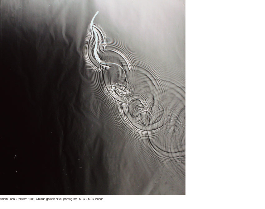 ﻿Adam Fuss, Untitled, 1988. Unique gelatin silver photogram, 53-1⁄4 x 50-1⁄4 inches.